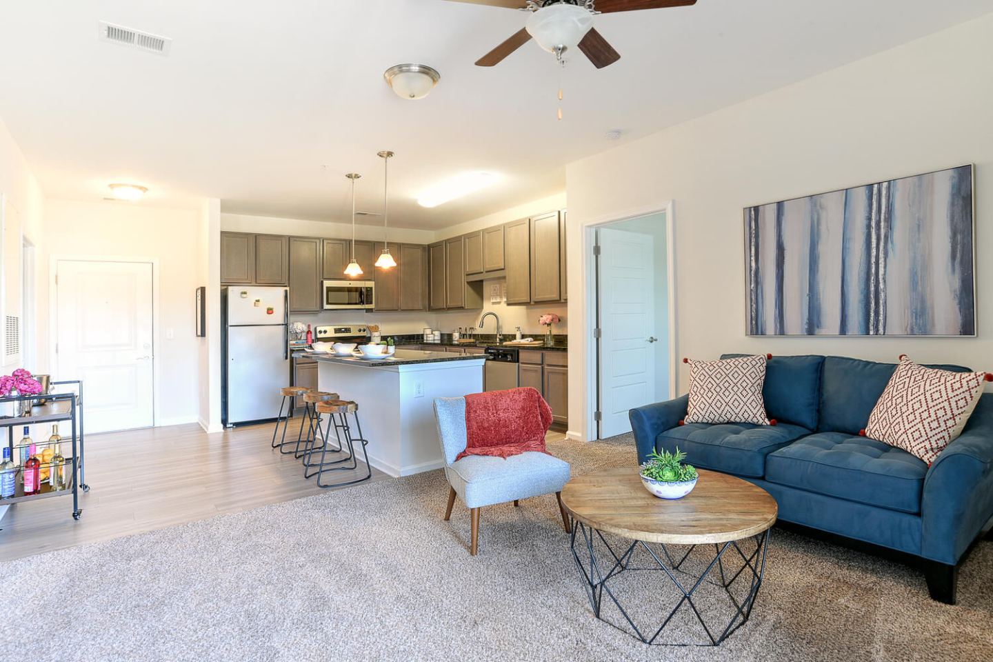 10 Newbridge Apartments Image 3