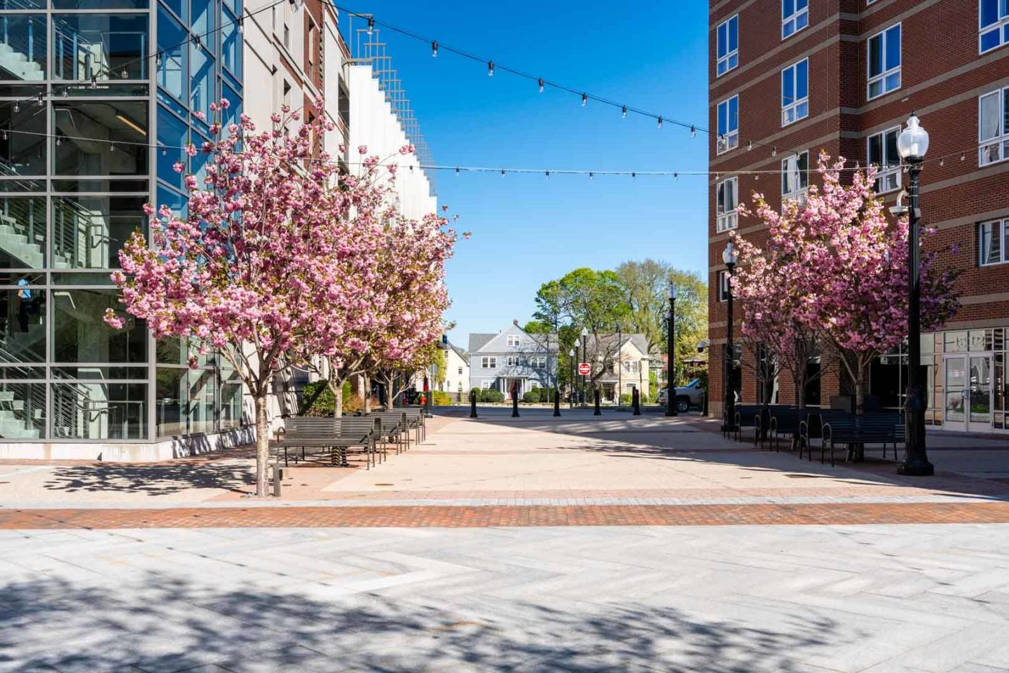 Munroe Place Image 33