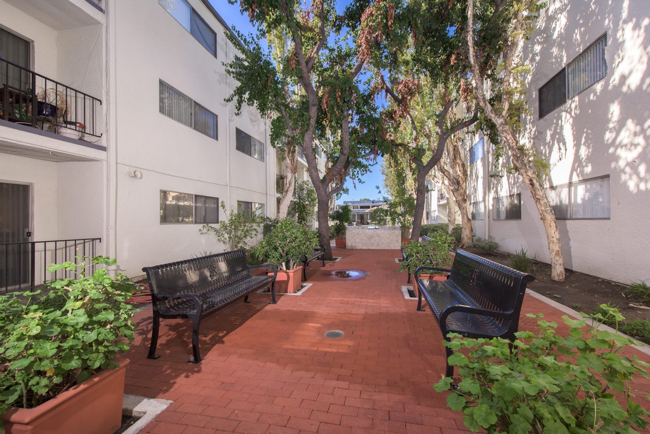 Tarzana Springs Image 3