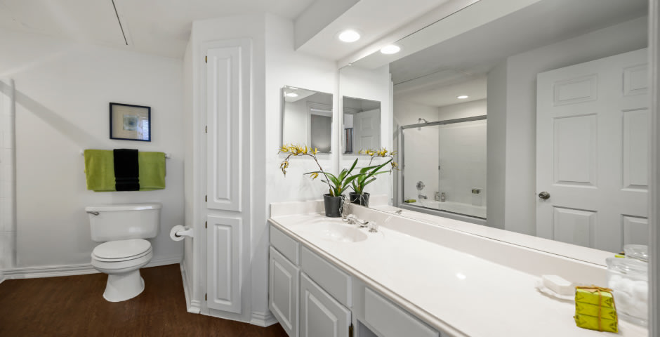 The Lanesborough Apartments Image 8