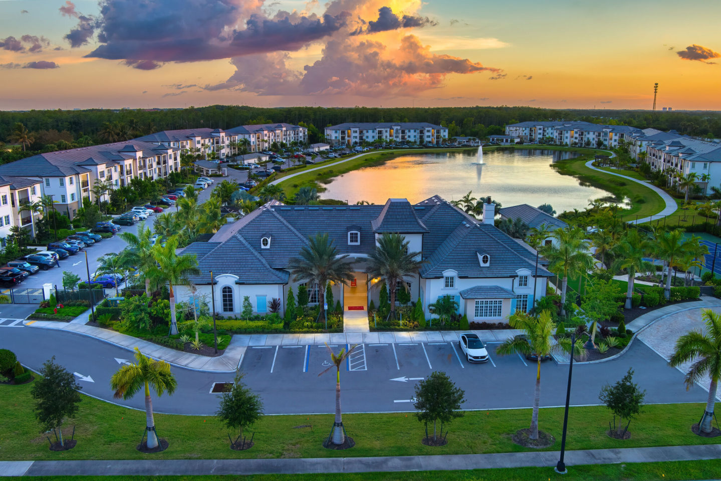 Town Treeline Image 32