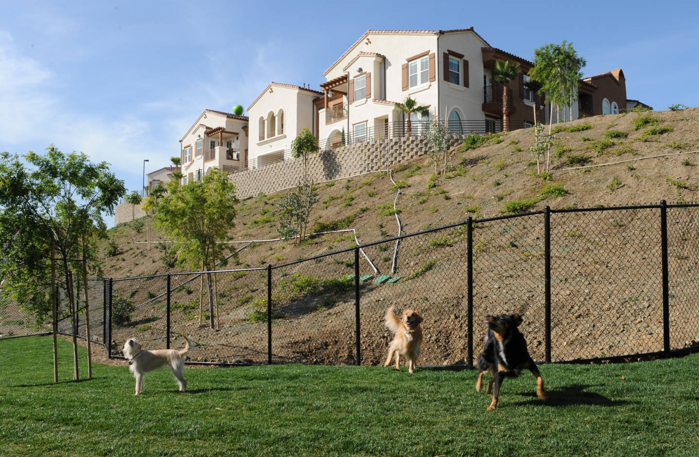 Cresta Bella Image 13