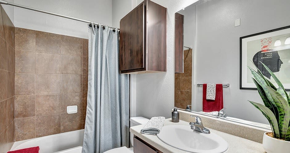 Student Housing - Iconic on Alvarado Image 16