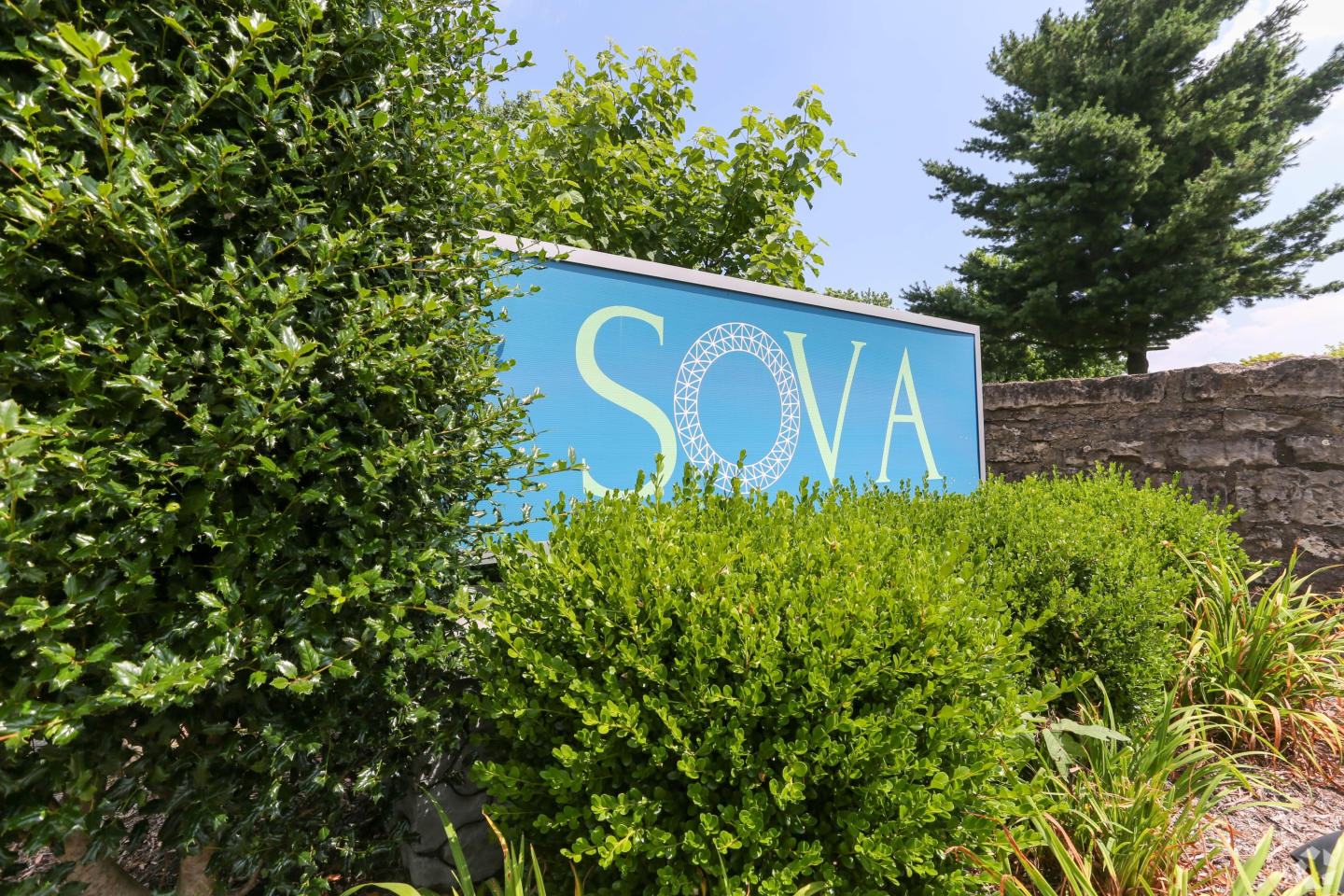 Sova Image 1