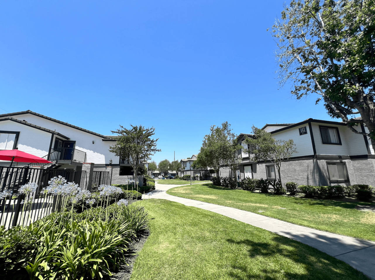Gladstone Ridge Image 25