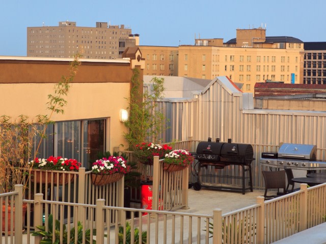 The Woodward Image 4