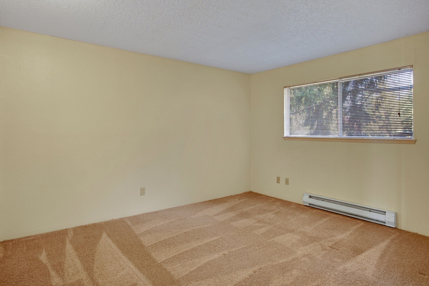 Soundview Image 7