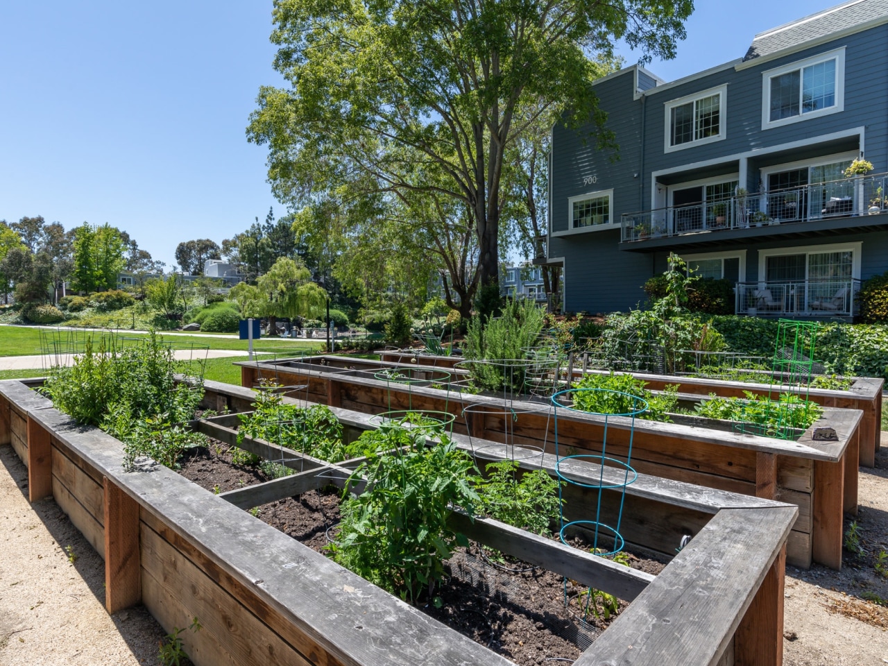 Serenity at Larkspur Image 13