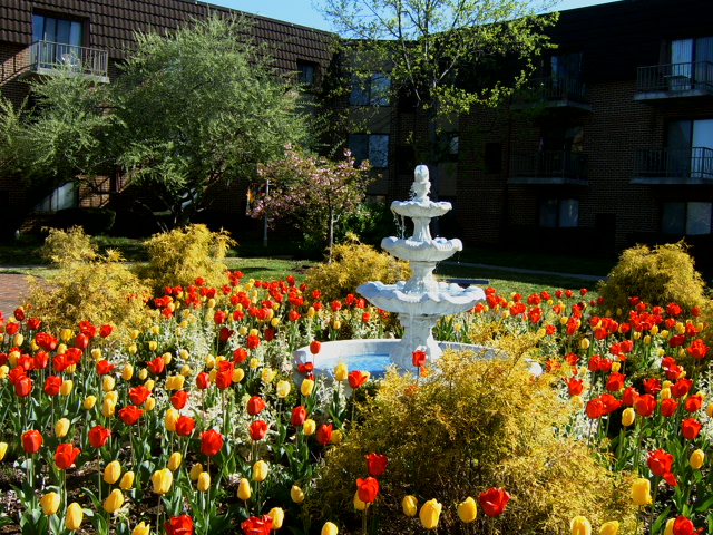 Fountain Gardens Image 8