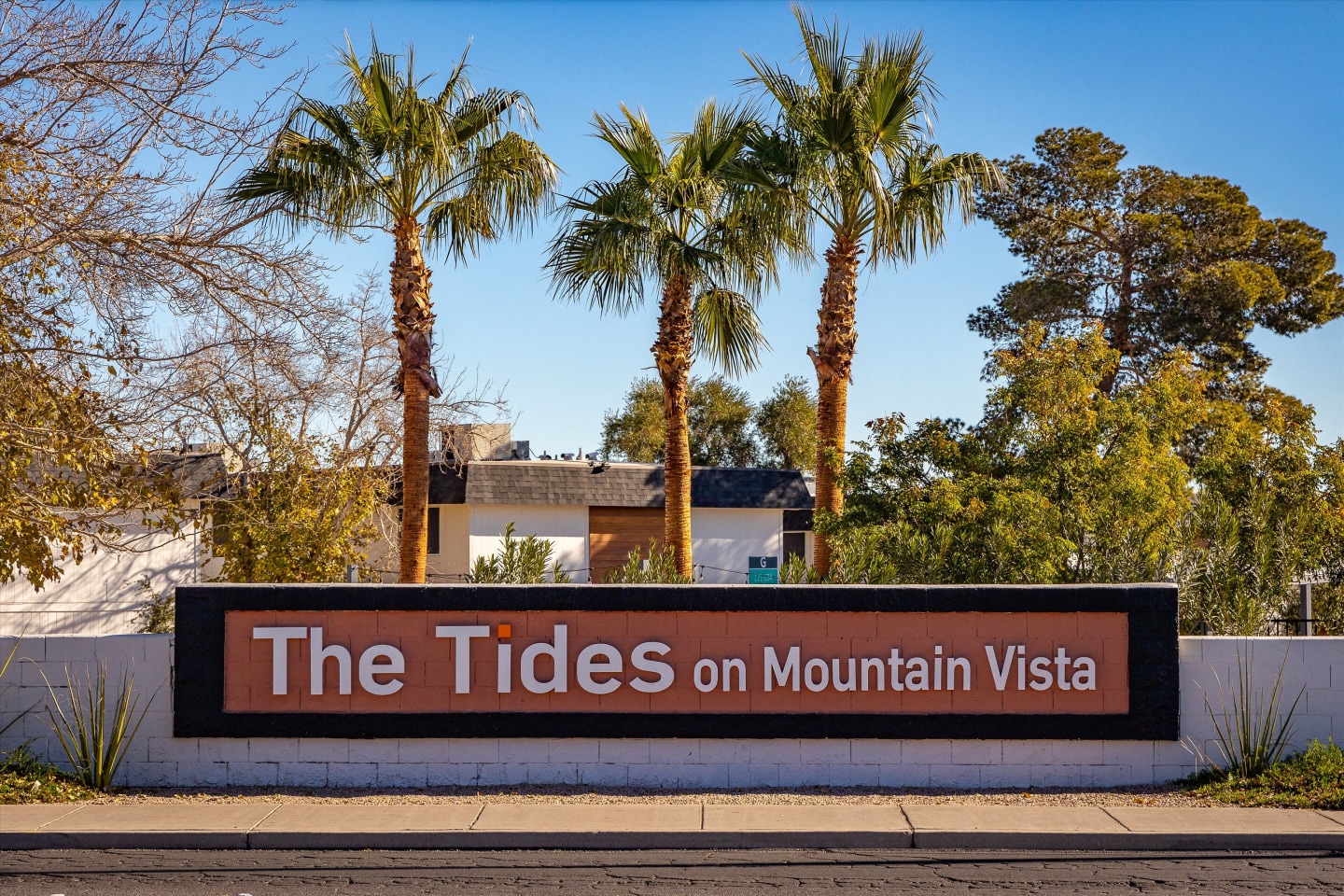 Tides on Mountain Vista Image 19