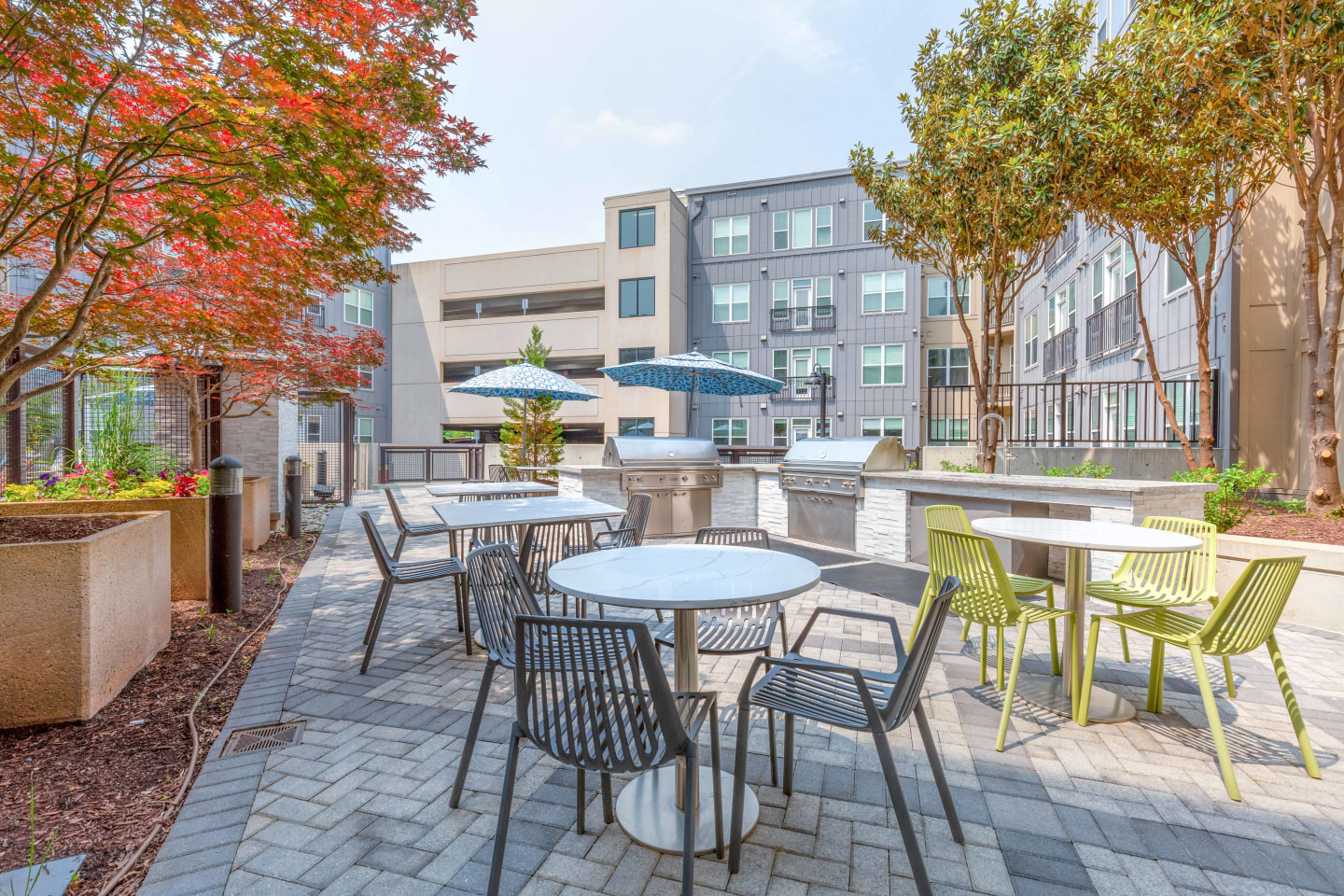 Terano Apartment Homes Image 18