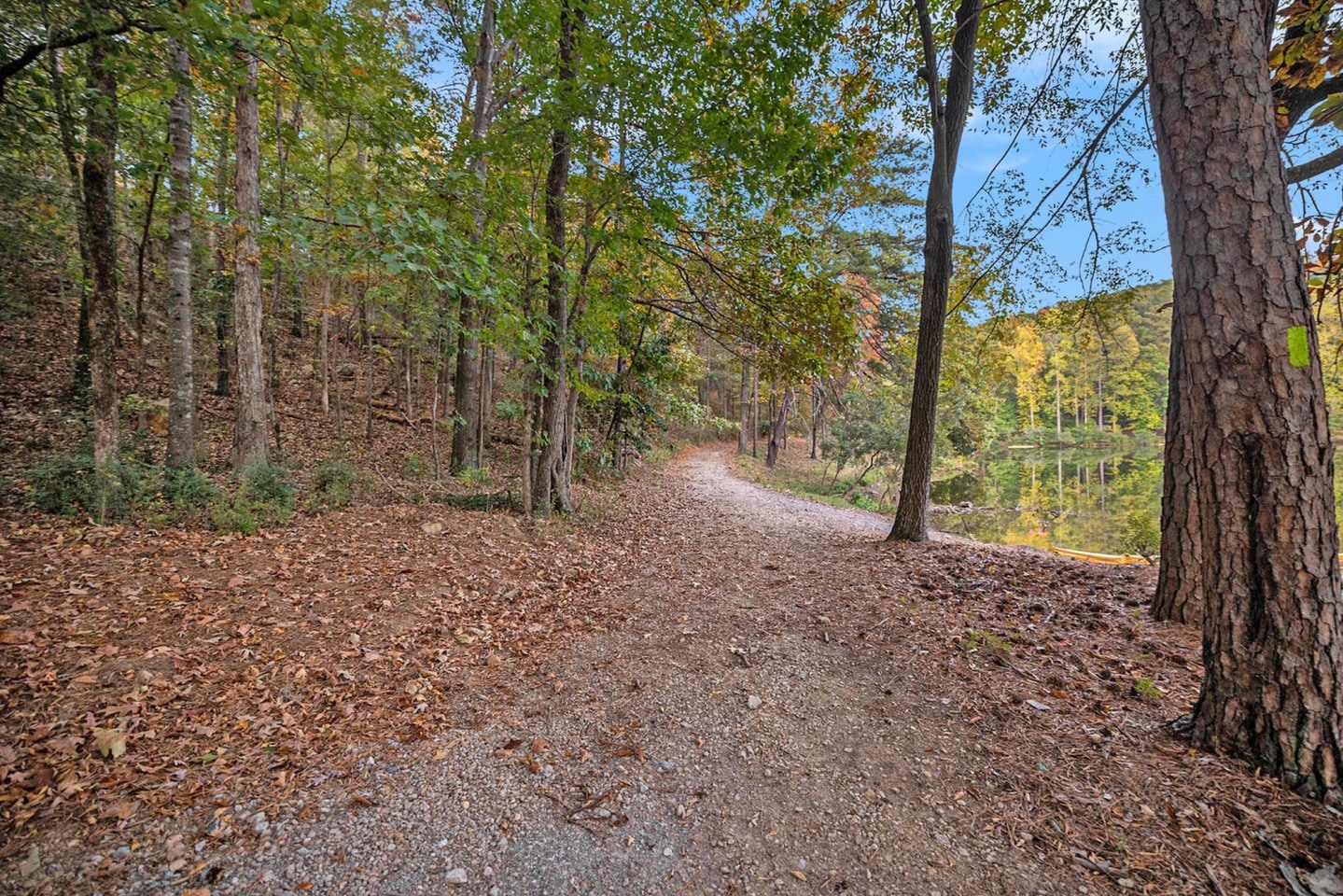 Tributary Rise Image 16