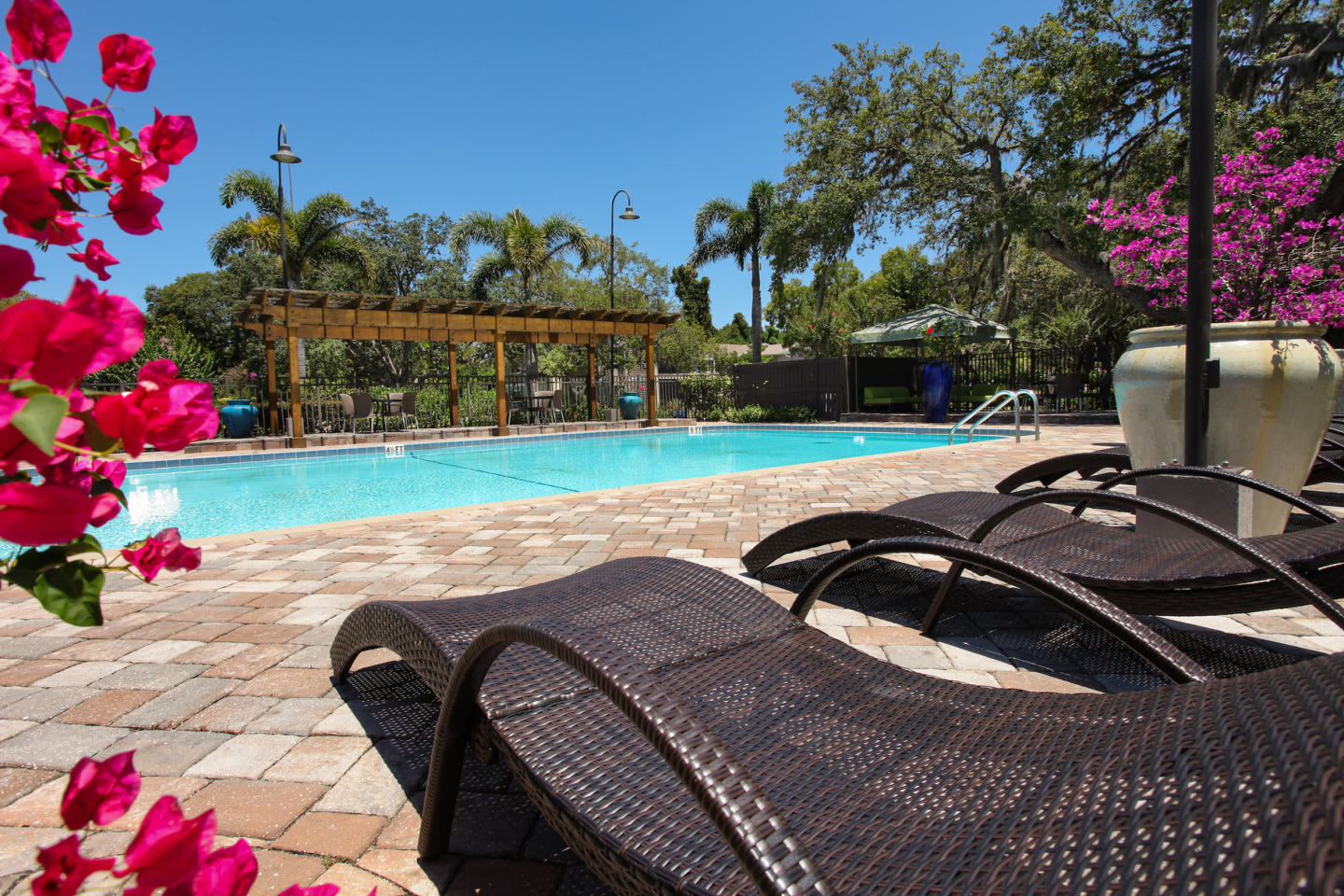 Agora at Port Richey Image 5