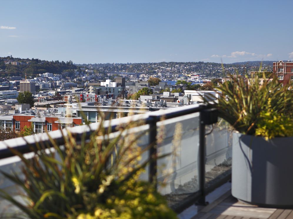 AVA Capitol Hill Image 37