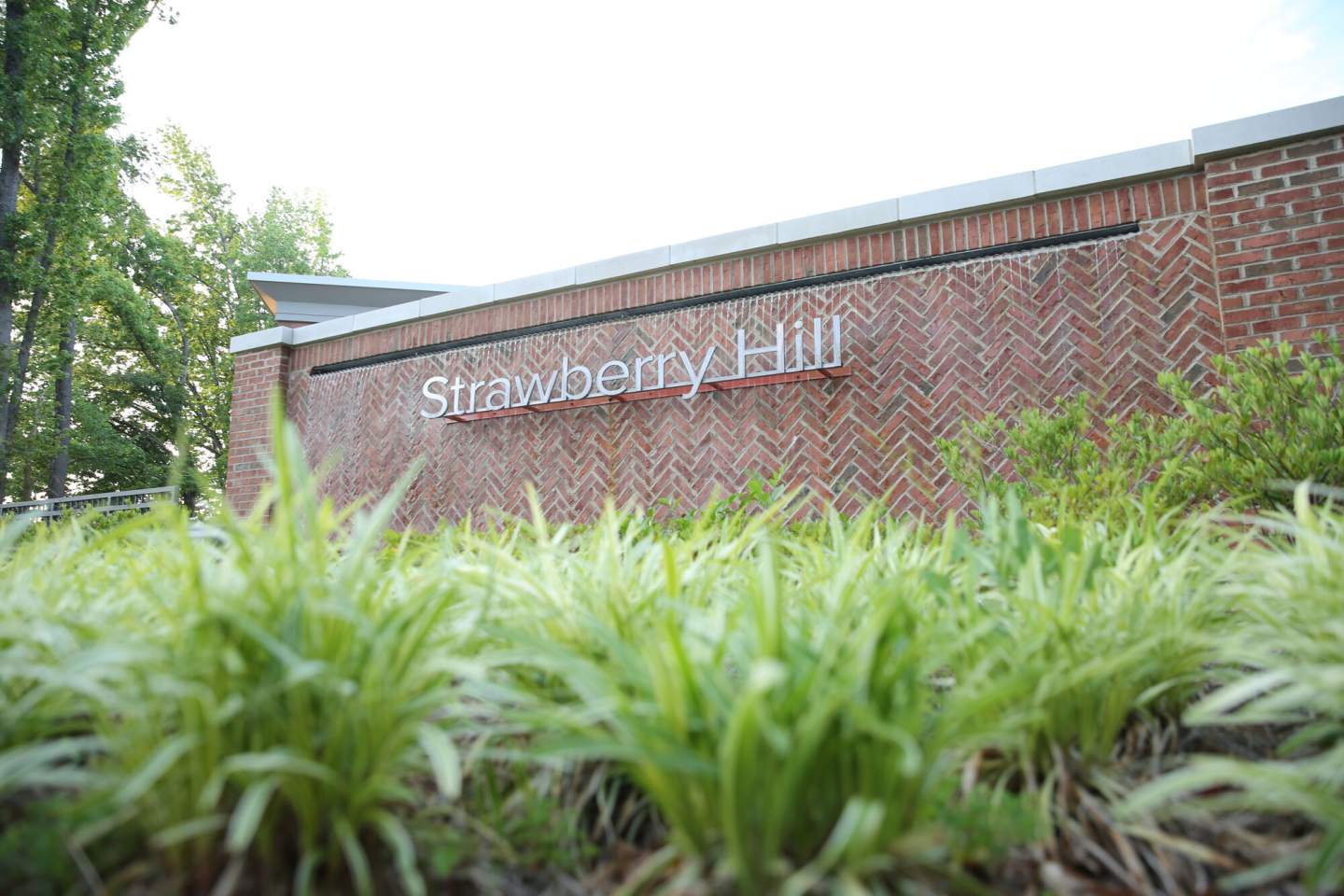 Strawberry Hill Image 22