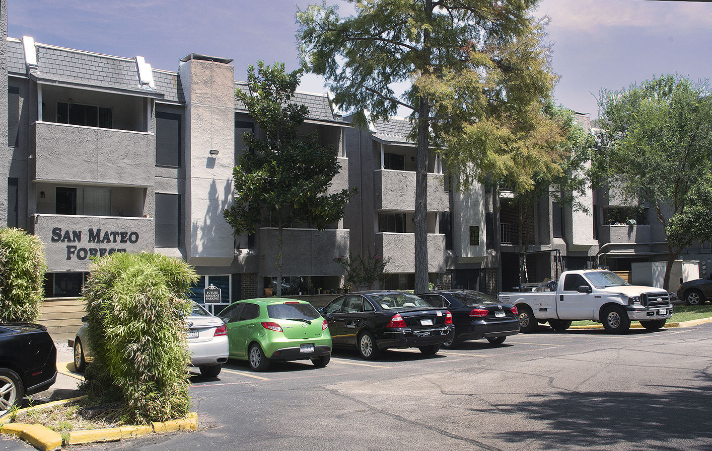 San Mateo Forest Apartments Image 29