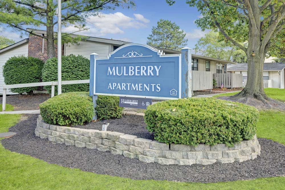Mulberry Image 26