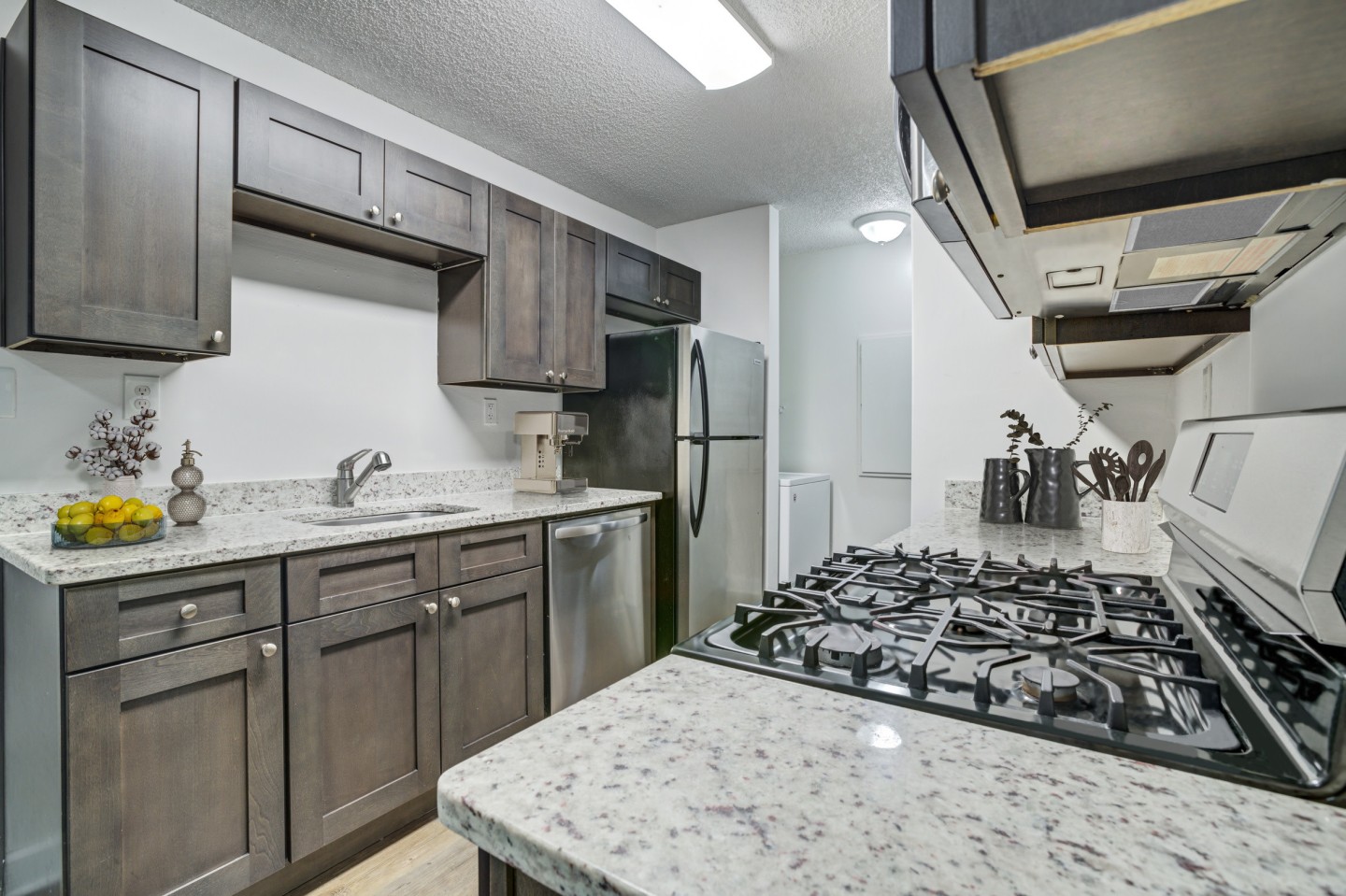 Chelsea Apartments Image 1