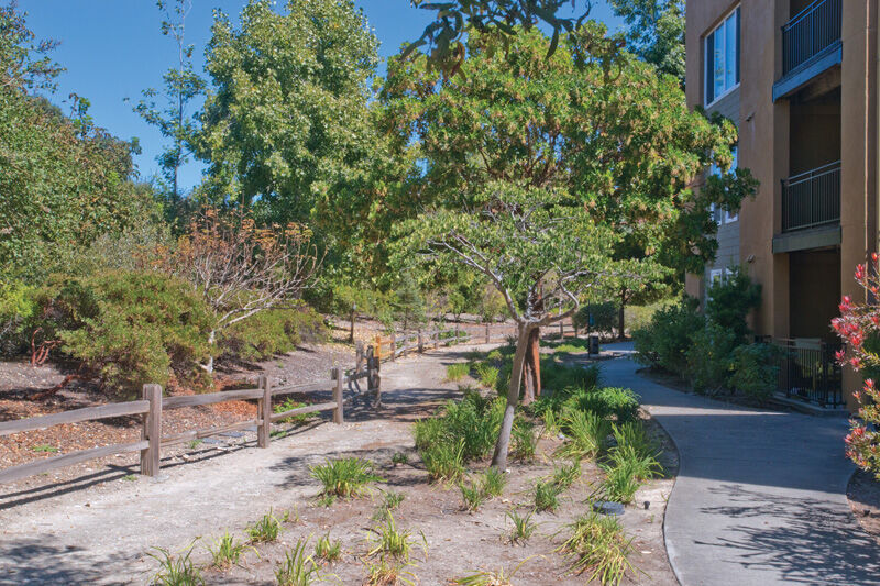 Pacific Shores Image 21