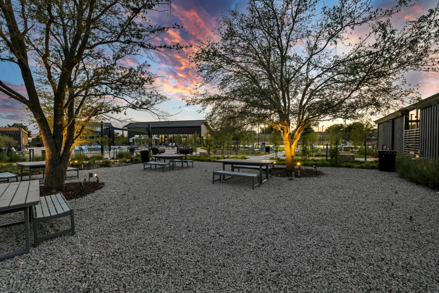 Lantana Round Rock Image 3