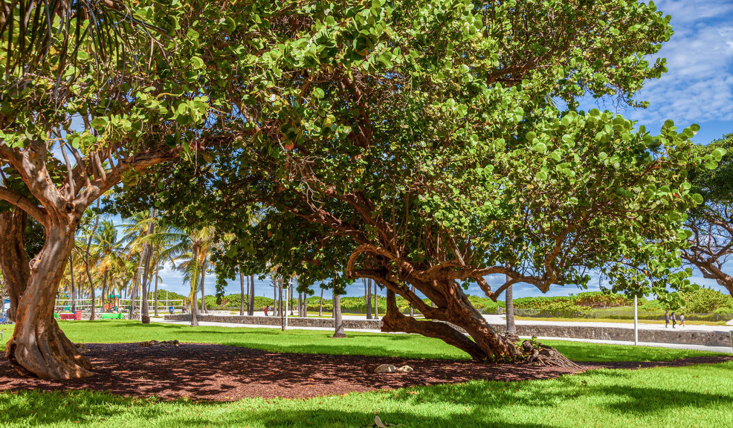 Flamingo Point Image 6