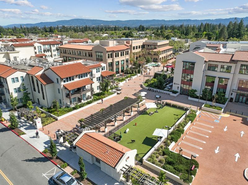 Springline Menlo Park Image 5