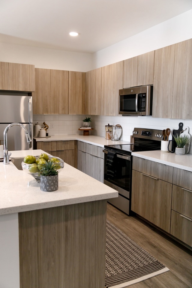 The Aster at Mountain Vista - BRAND NEW Image 11