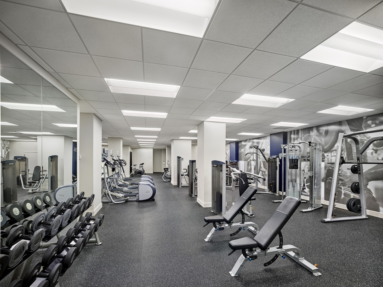 The Franklin Residences Image 7