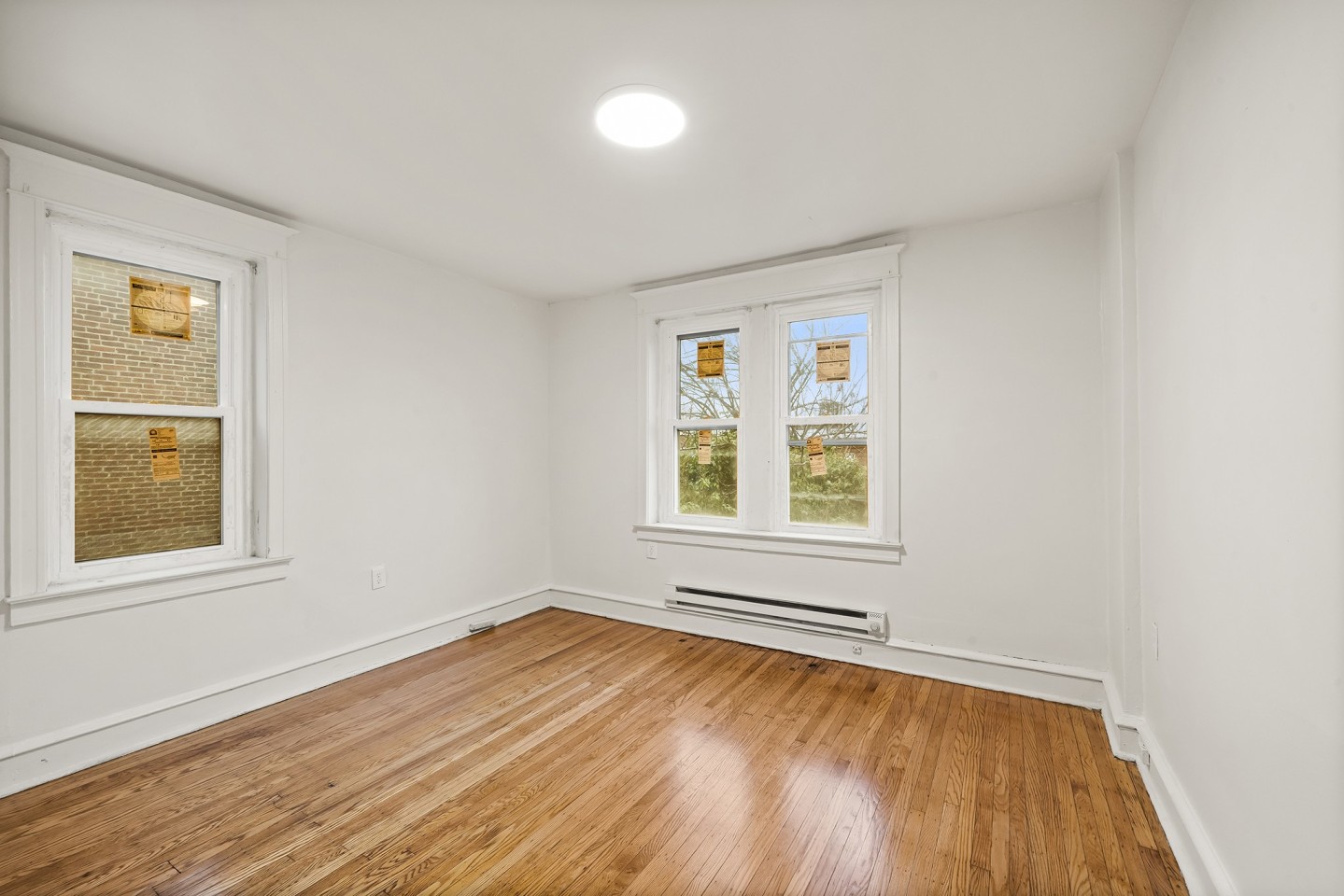 Chestnut Park Apartments Image 10