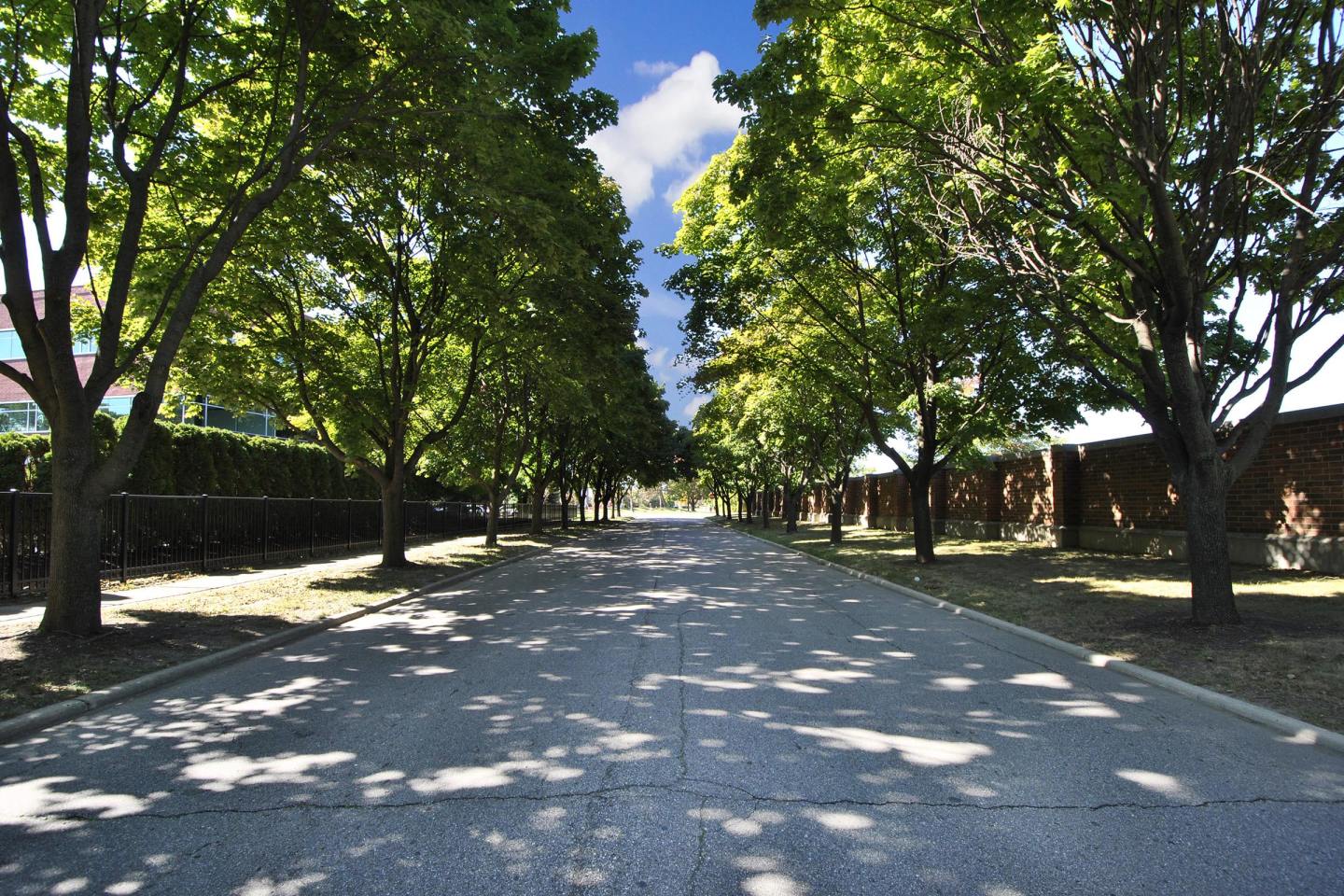 The Crossroads At Southfield Apartments Image 26