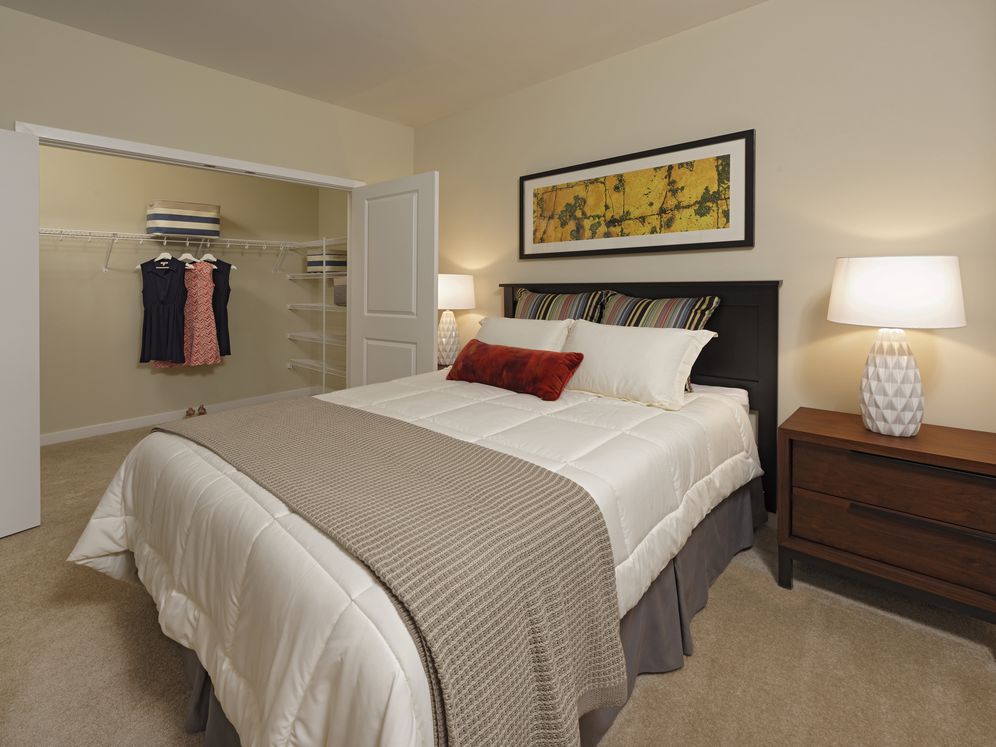 Avalon Laurel Image 20