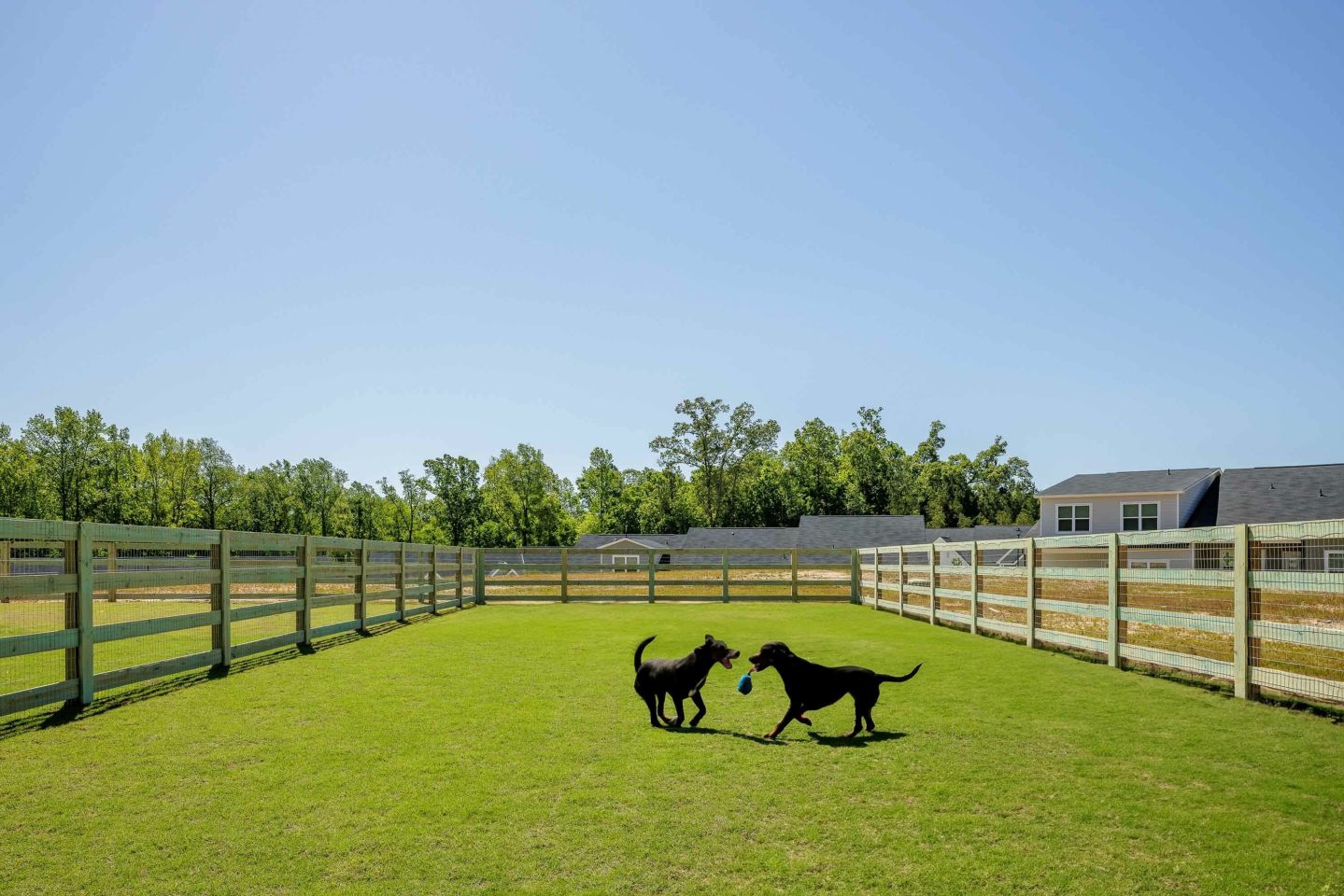 The Cottages at Walker Ridge - Homes for Rent Image 12