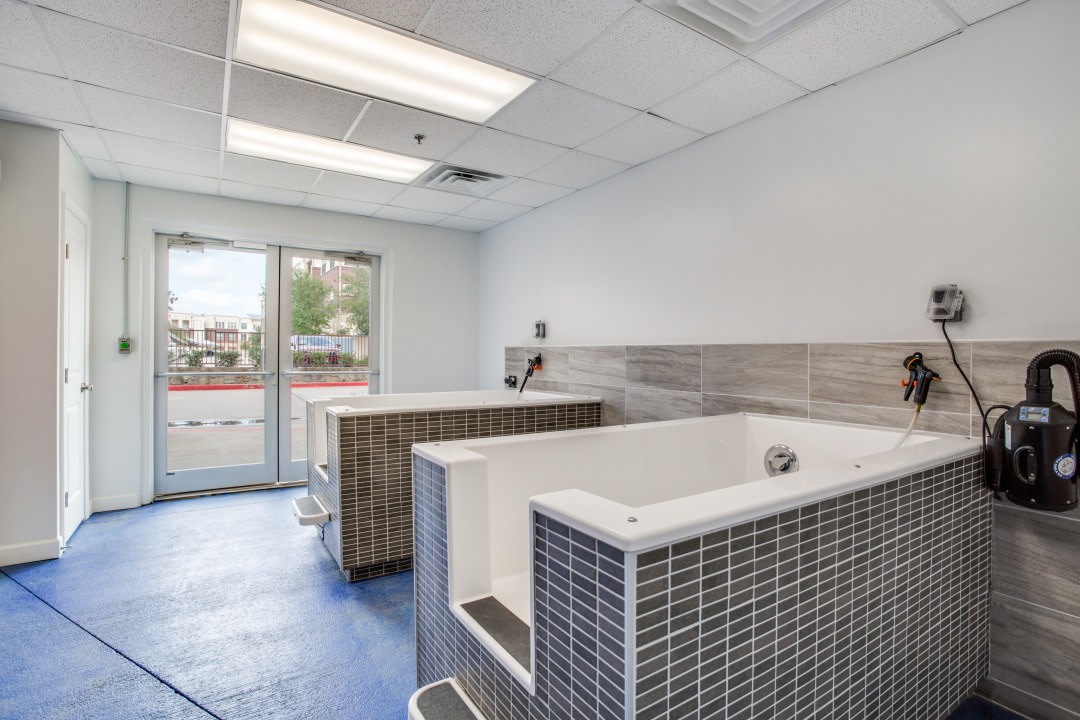 Fountain Pointe Las Colinas Image 68