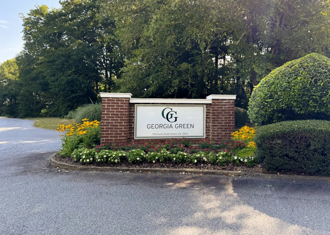 Georgia Green Image 19