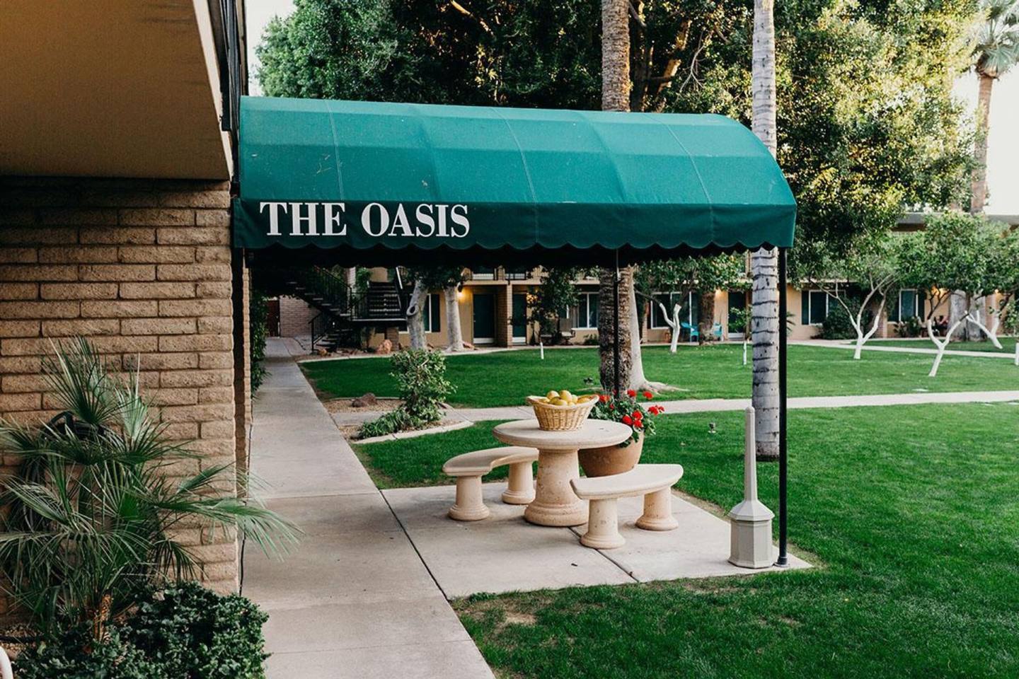 Oasis in the City Image 4