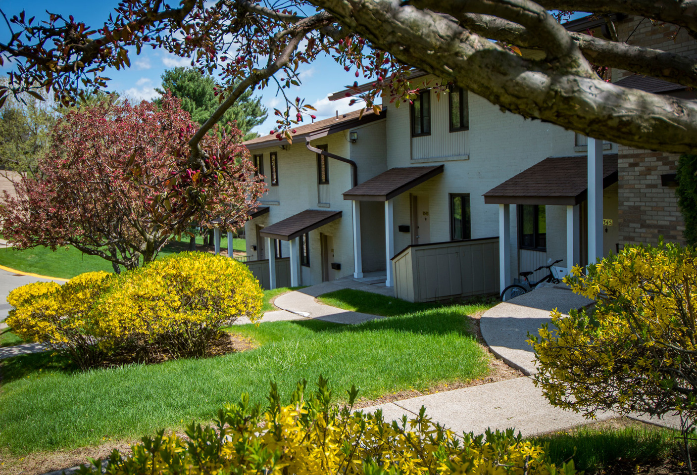 Carriage Park Apartments Image 14