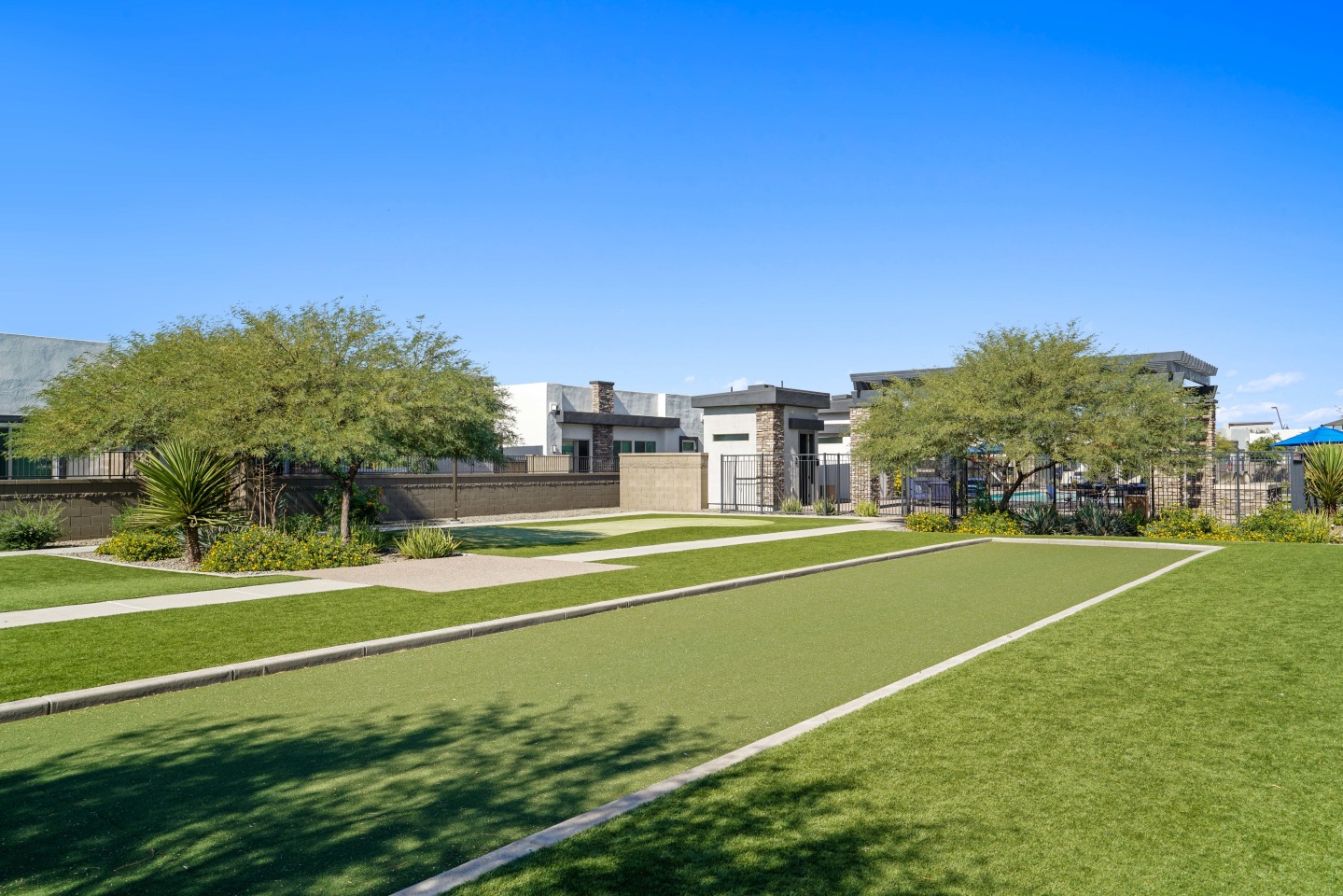 Olive Queen Creek Image 30