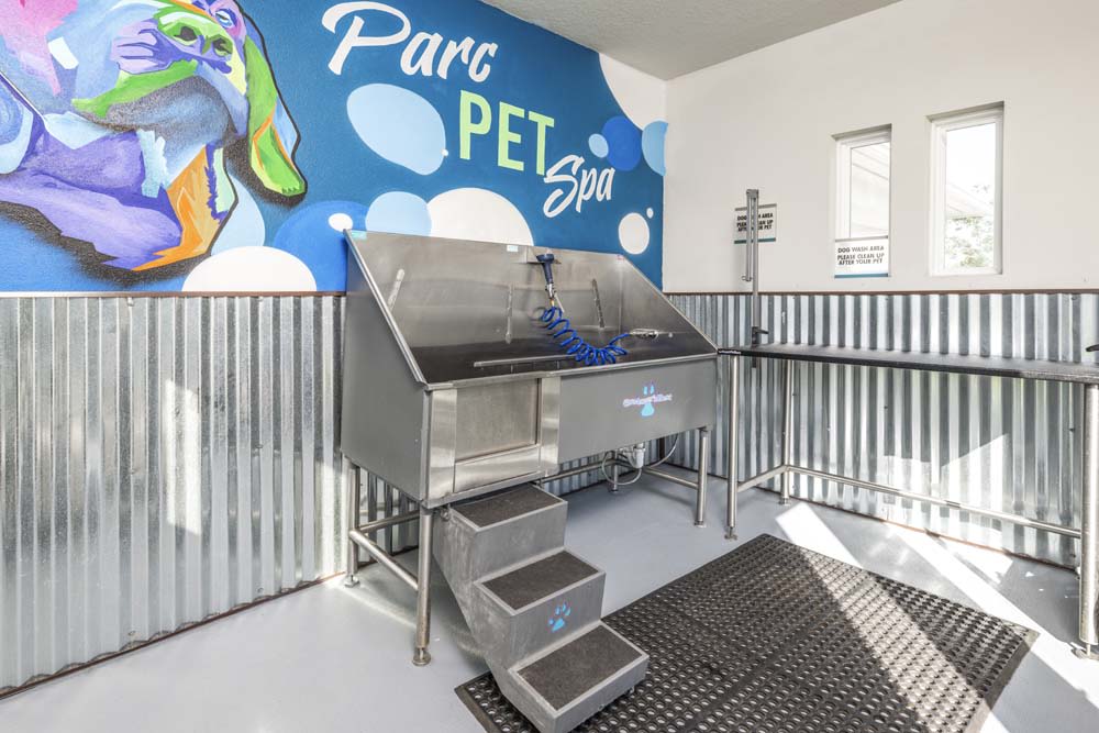 Parc at Wesley Chapel Image 25