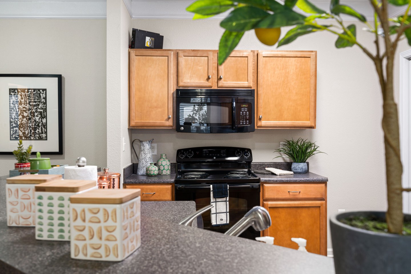 Villas at Houston Levee West Apartments Image 36
