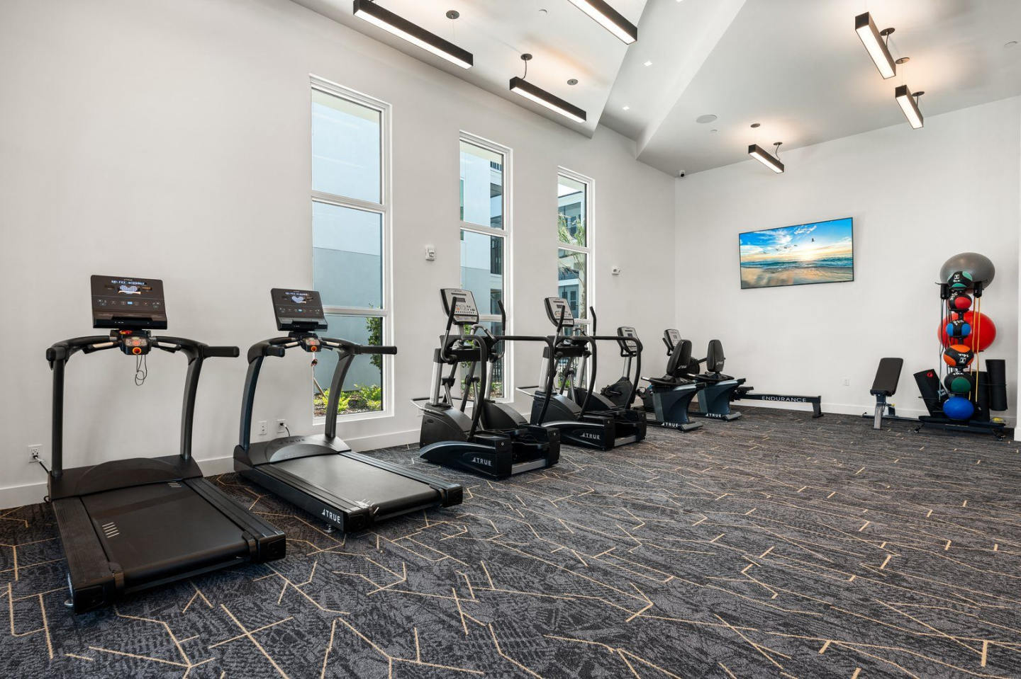 Mira at Palmer Ranch- 55+ Active Living Community Image 43