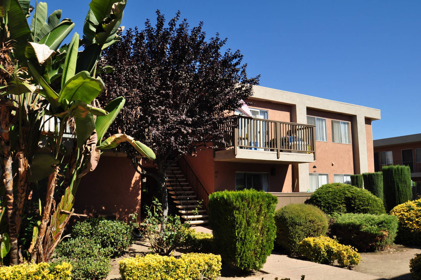 Ashwood Apartments Image 5