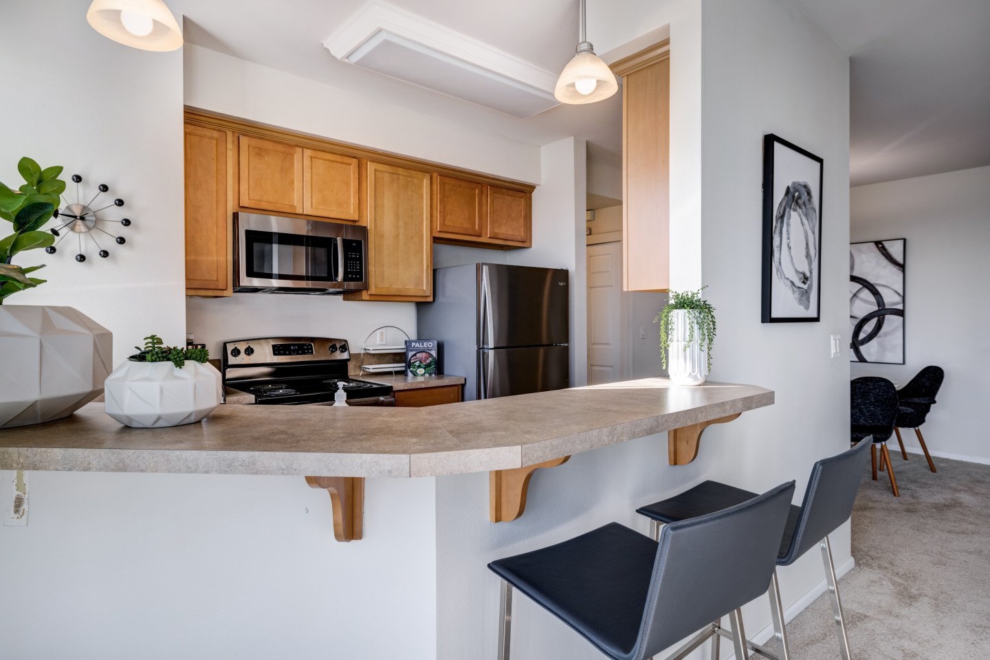 Apex Apartments Image 3