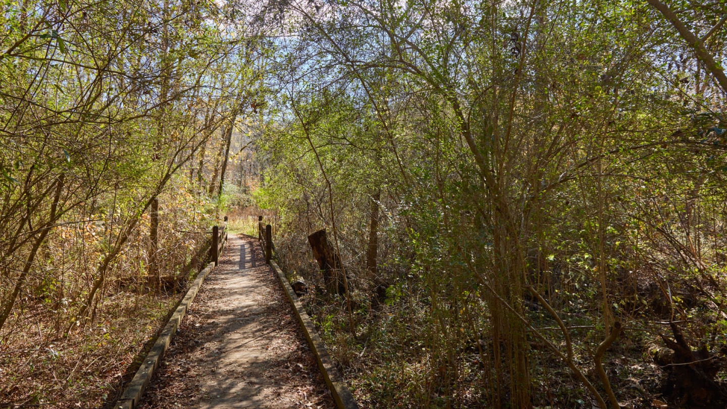 Juniper Sandy Springs Image 1