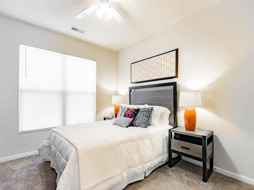 Elevate on Main Image 4