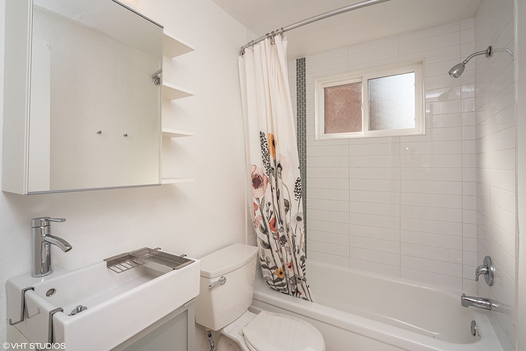 805 Dahlia Image 31