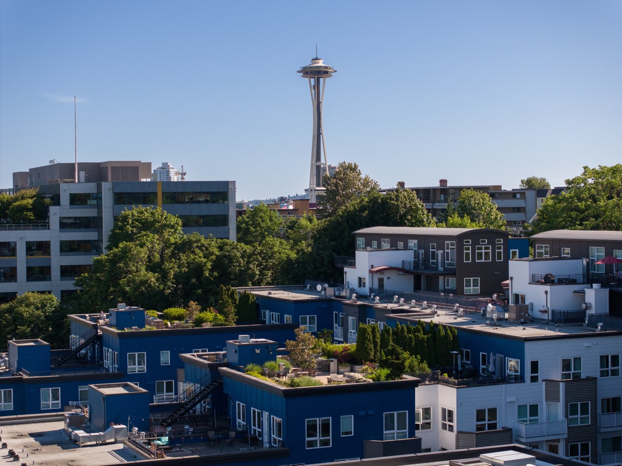 Dexter Lake Union Image 4