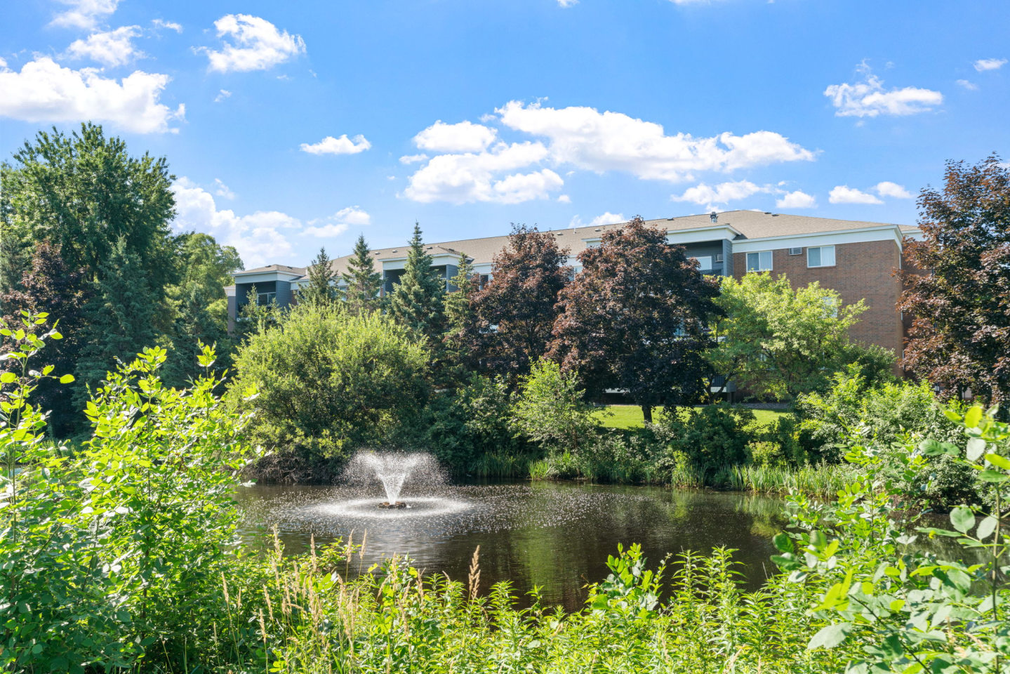 Cedars Lakeside Image 30