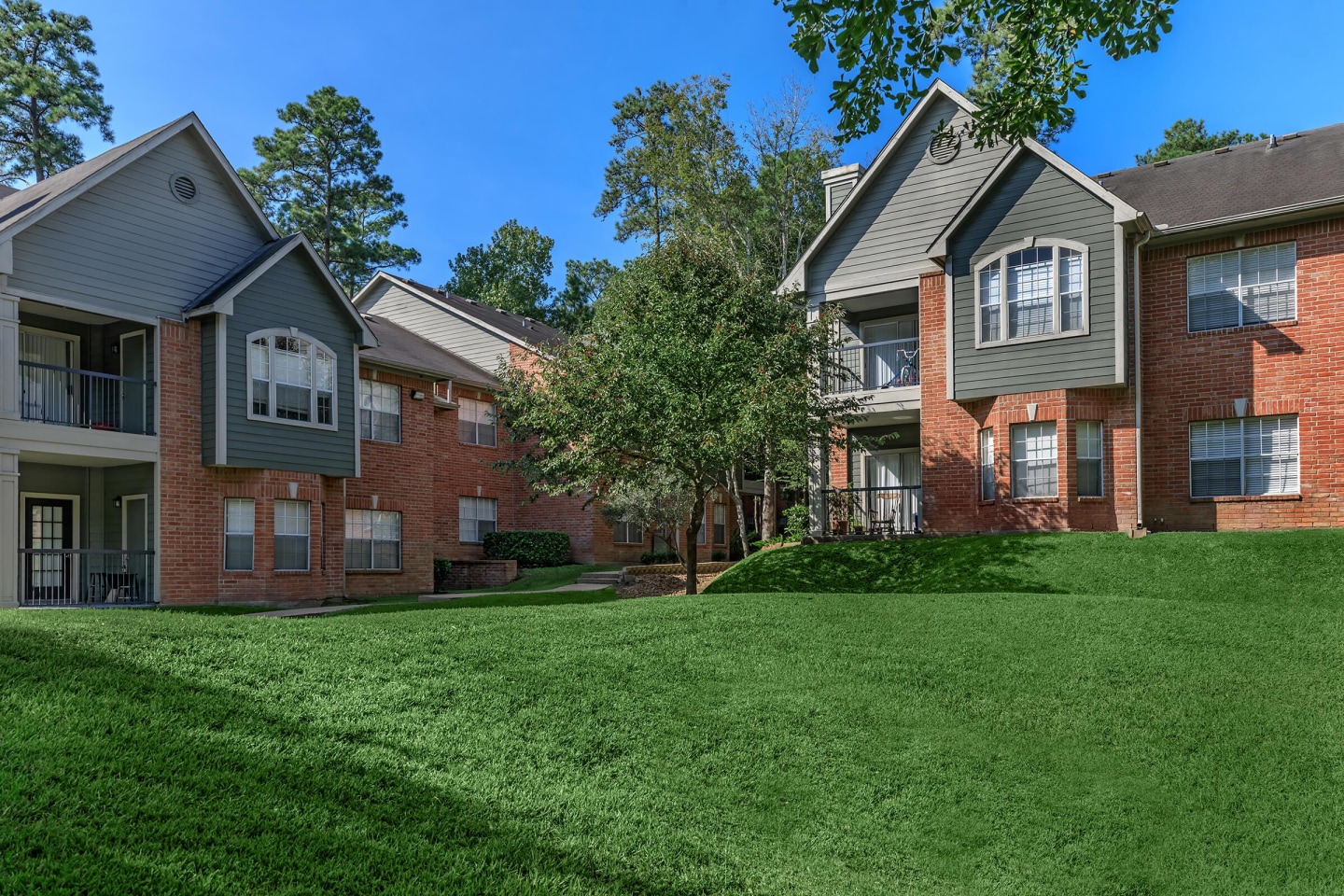 White Oak Image 15