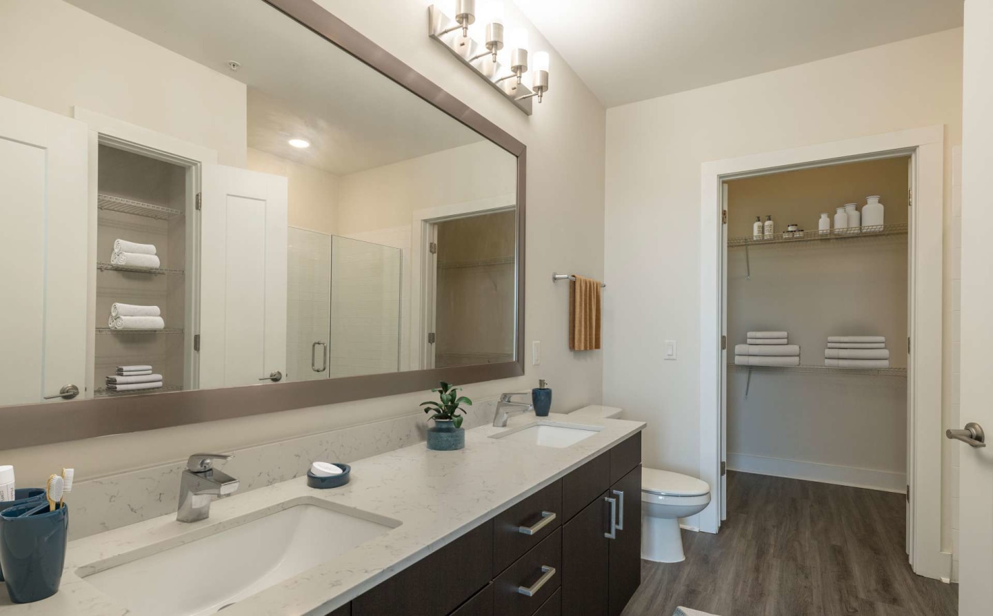 Society Westshore Apartments Image 19