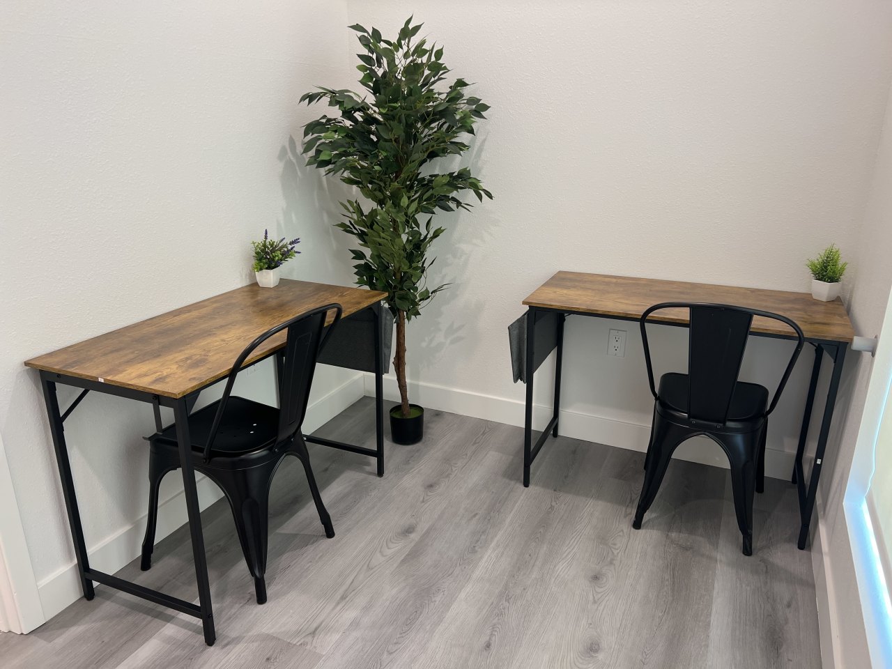 The Oasis - Co-Living Image 14